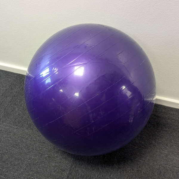 55 cm gymnastikbold