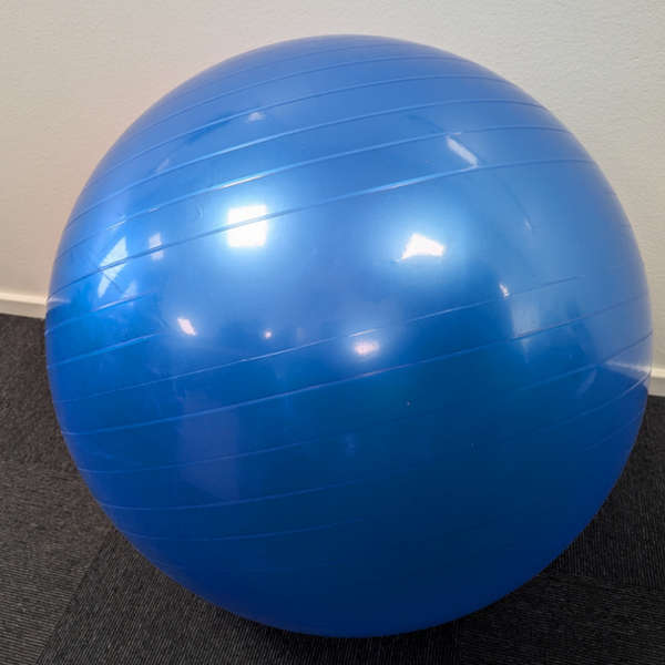 65 cm gymnastikbold